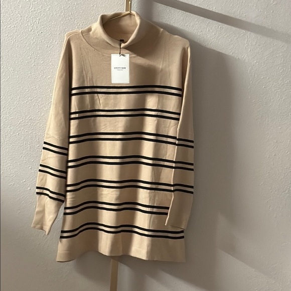 Etcyy New Beige Striped Turtleneck Sweater - Picture 1 of 3